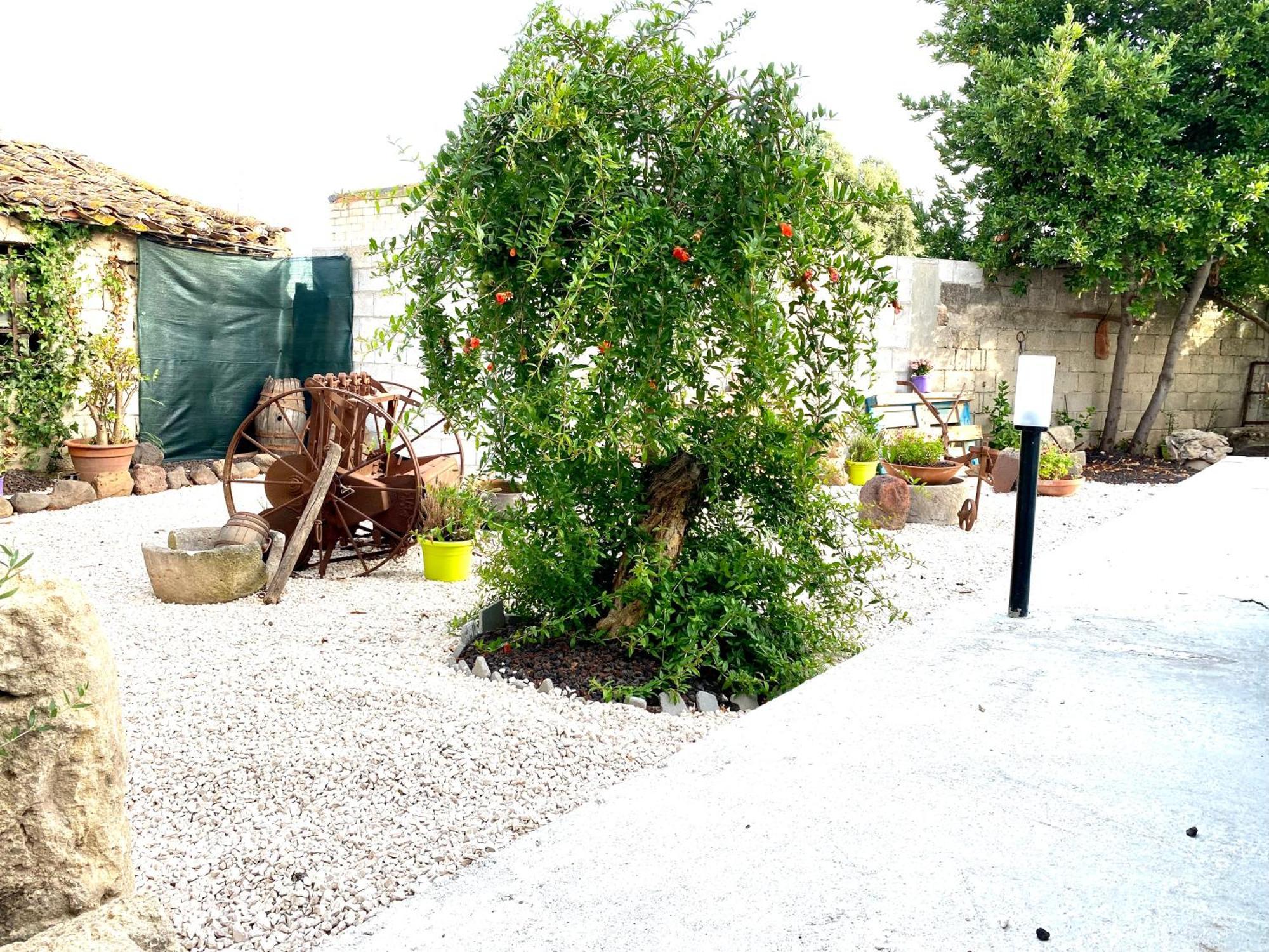 Casa Mora Apartment San Vero Milis Екстериор снимка